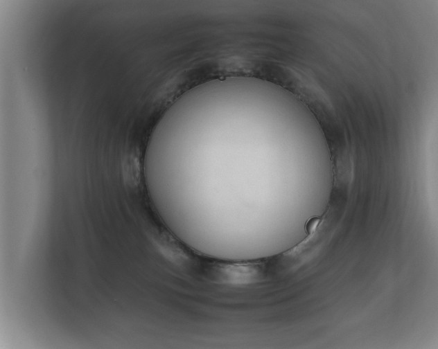 X0000112370183200908201509