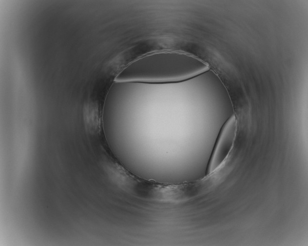 X0000112370186200908201509