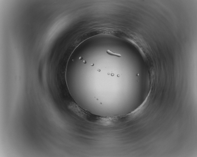 X0000112370190200908201509