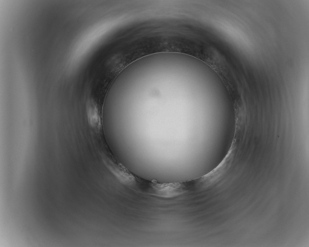 X0000112370191200908201509