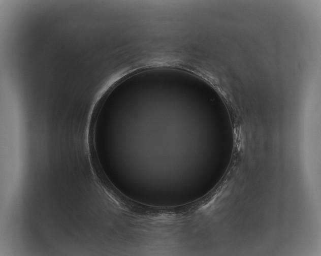 X0000112370196200908201509