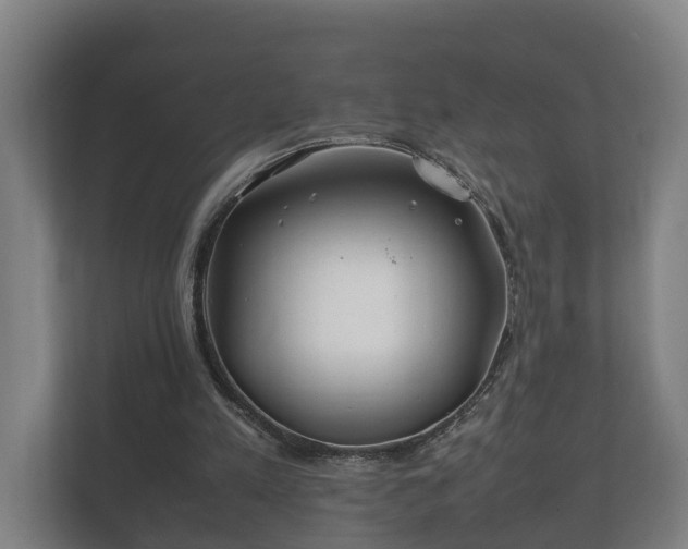 X0000112370197200908201509