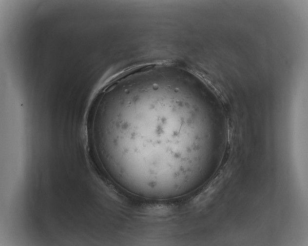 X0000112370198200908201509