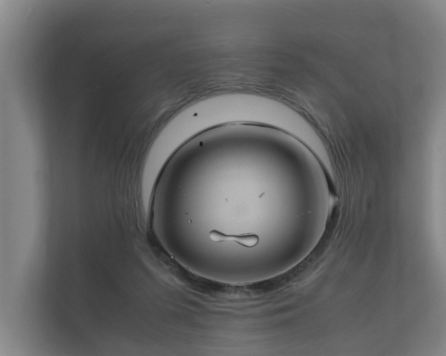 X0000112370215200908201509