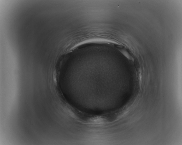 X0000112370219200908201508