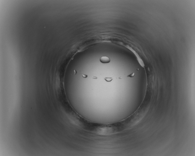 X0000112370220200908201508