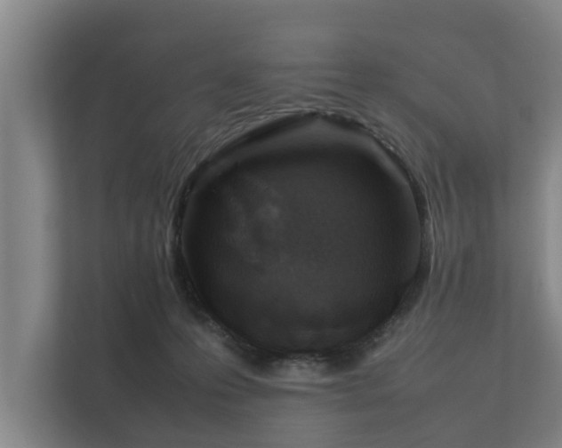 X0000112370223200908201508