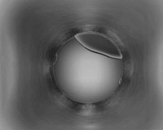 X0000112370225200908201508