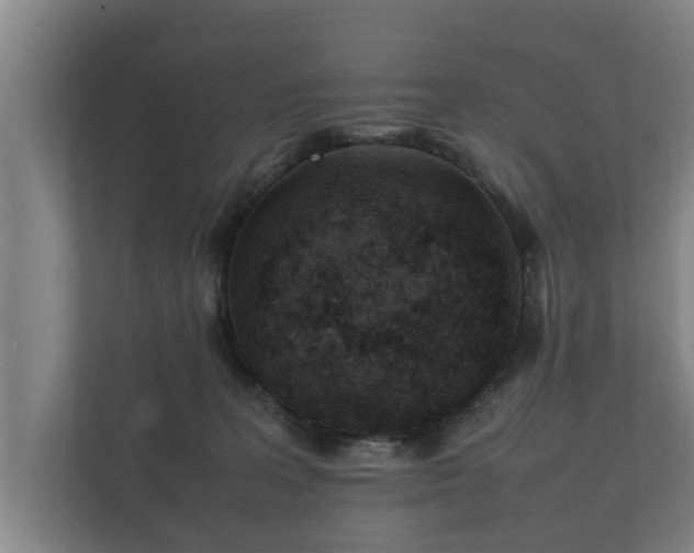 X0000112370227200908201508