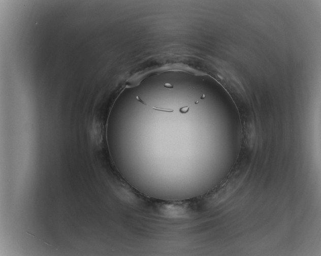 X0000112370232200908201508