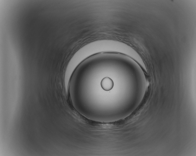 X0000112370233200908201508