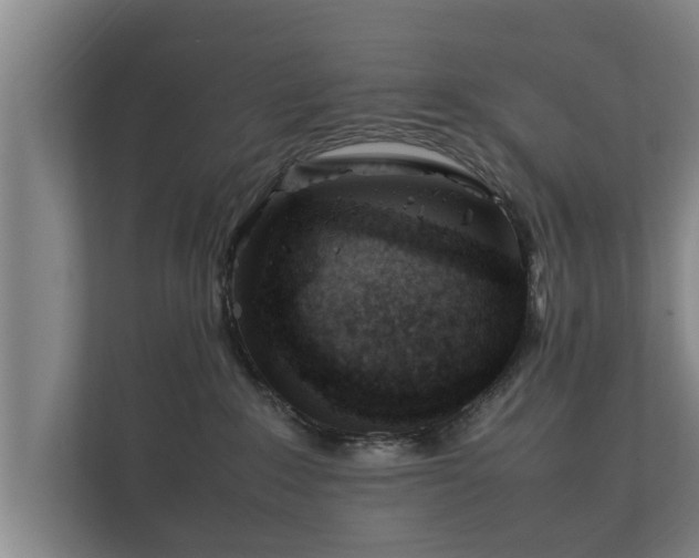 X0000112370235200908201508