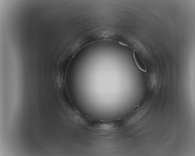 X0000112370236200908201508