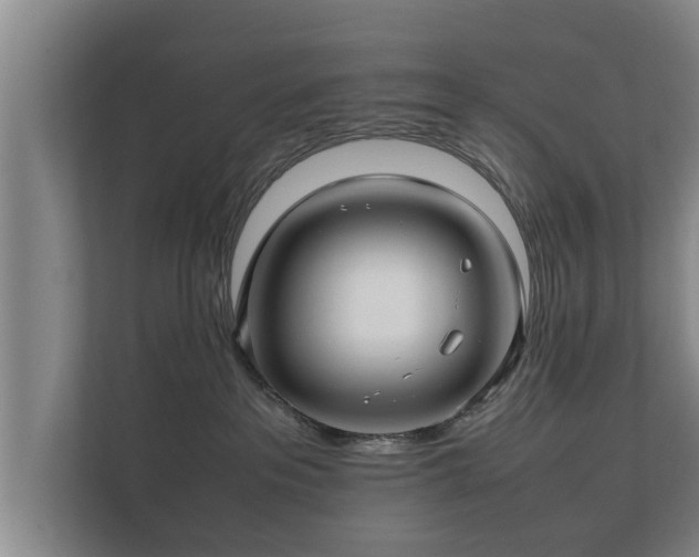 X0000112370237200908201508