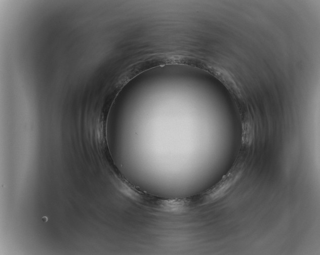 X0000112370238200908201508