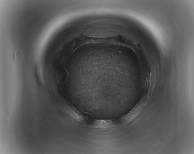 X0000112370239200908201508