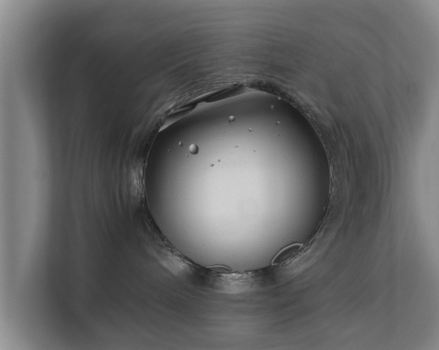 X0000112370240200908201508