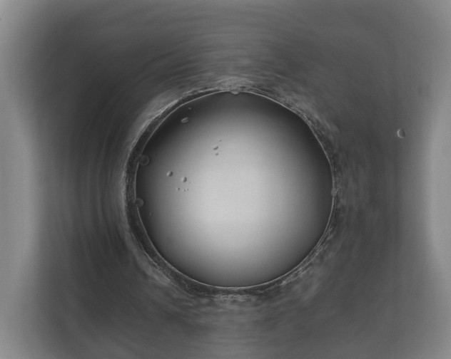 X0000112370242200908201508