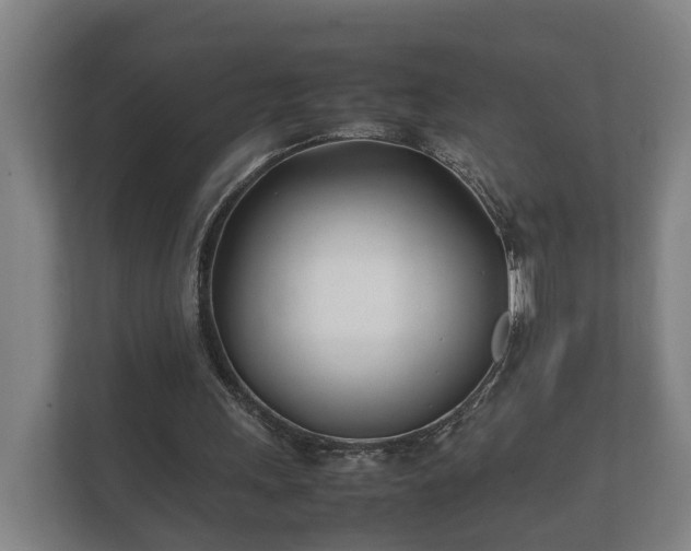 X0000112370243200908201508