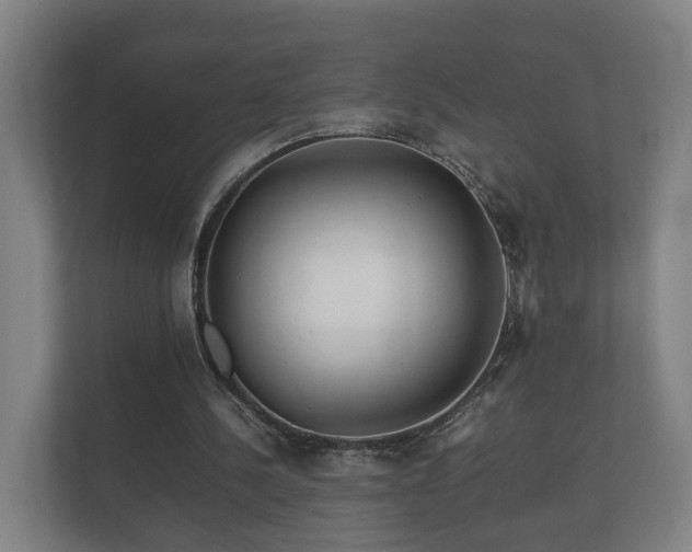 X0000112370244200908201508