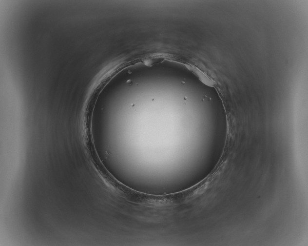 X0000112370245200908201508