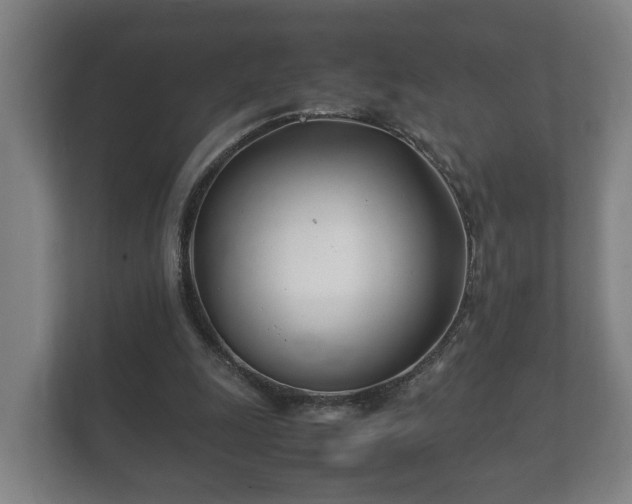 X0000112370247200908201508