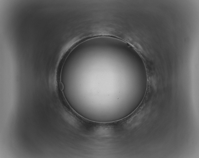 X0000112370248200908201508