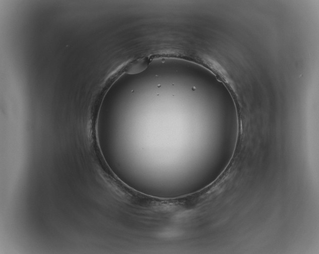 X0000112370249200908201508