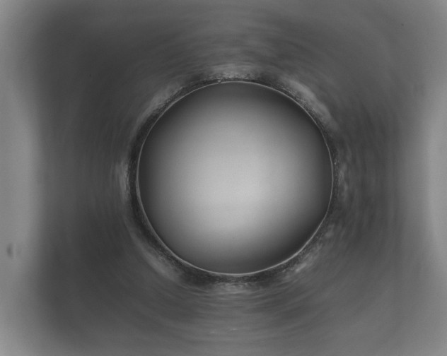 X0000112370250200908201508