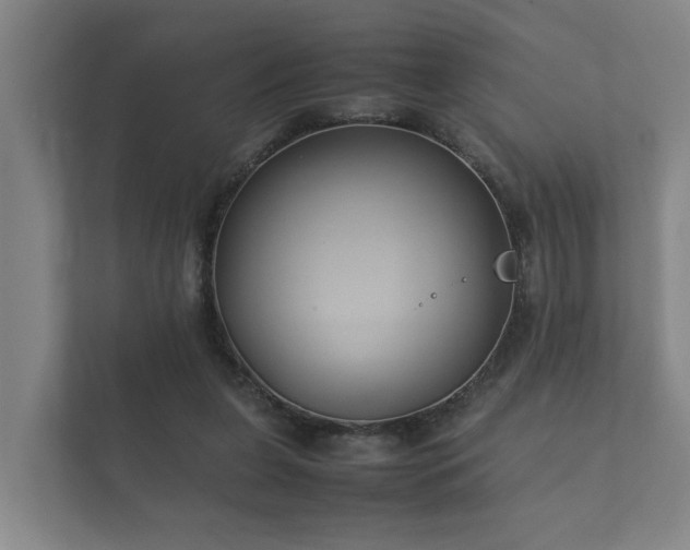 X0000112370255200908201508