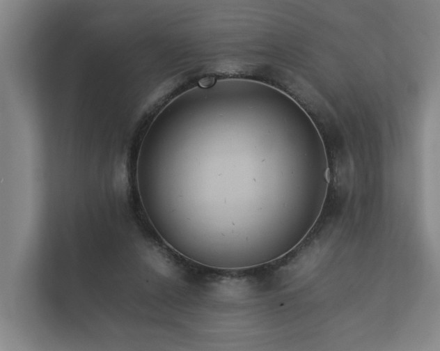 X0000112370256200908201508