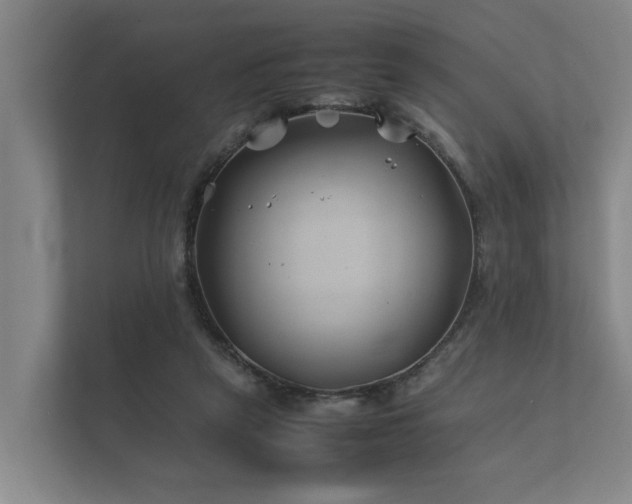 X0000112370257200908201508