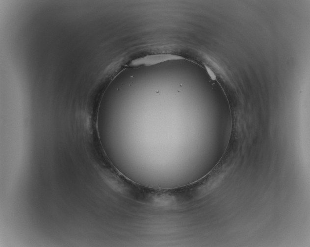 X0000112370258200908201508