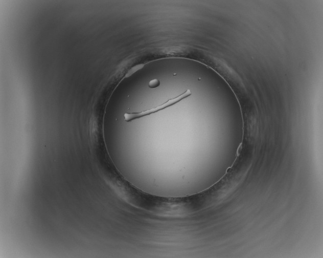 X0000112370260200908201508