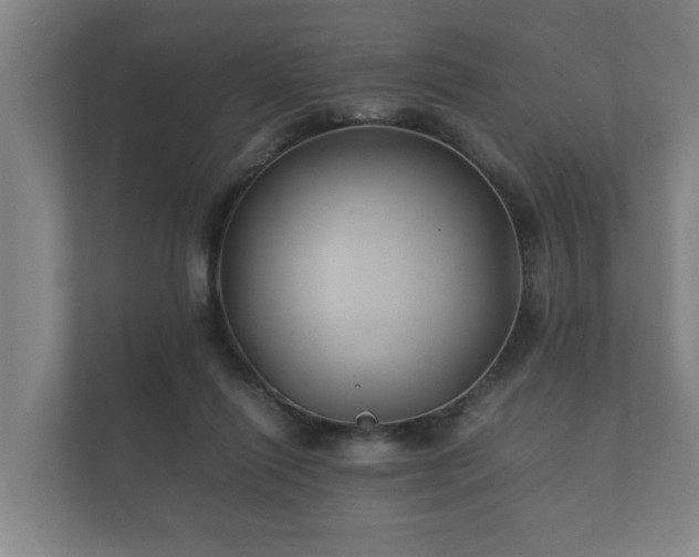 X0000112370262200908201508