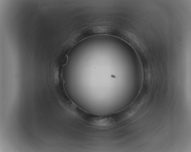 X0000112370267200908201508