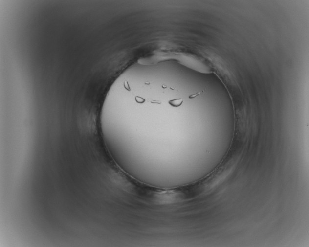 X0000112370269200908201508