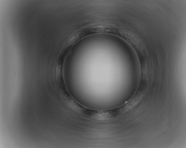 X0000112370278200908201508