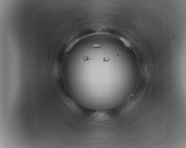 X0000112370280200908201508