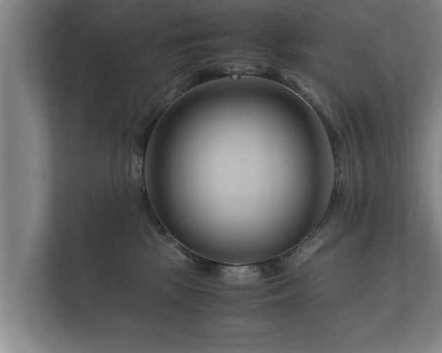 X0000112370281200908201508