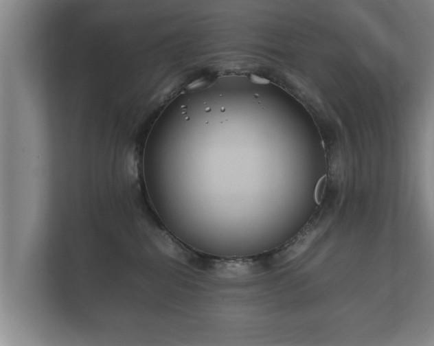 X0000112370282200908201508