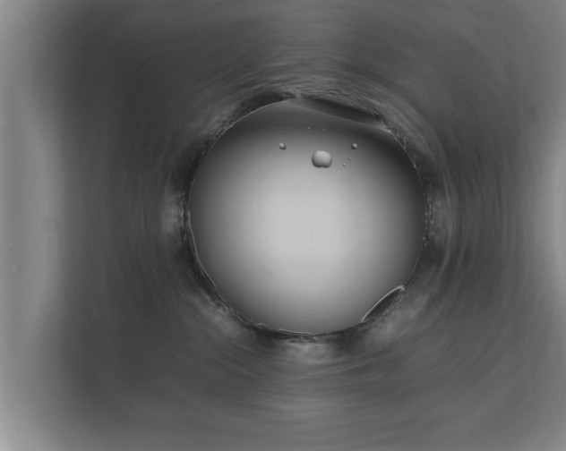 X0000112370284200908201508