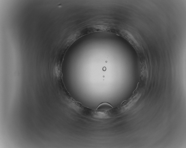 X0000112370285200908201508