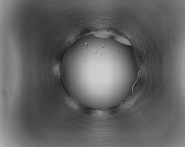 X0000112370286200908201508