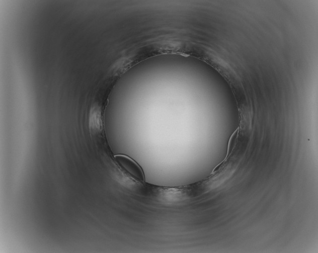 X0000112370287200908201508