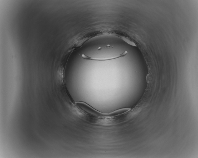 X0000112370288200908201508