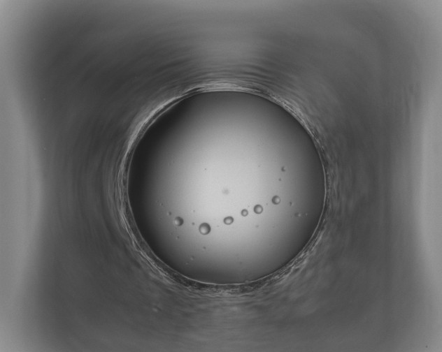 X0000112370289200908201508