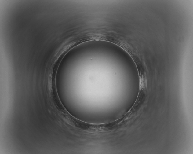 X0000112370291200908201508