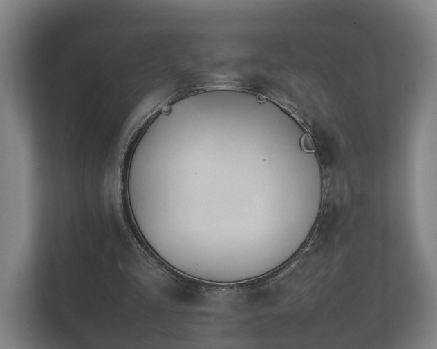 X0000112370293200908201508