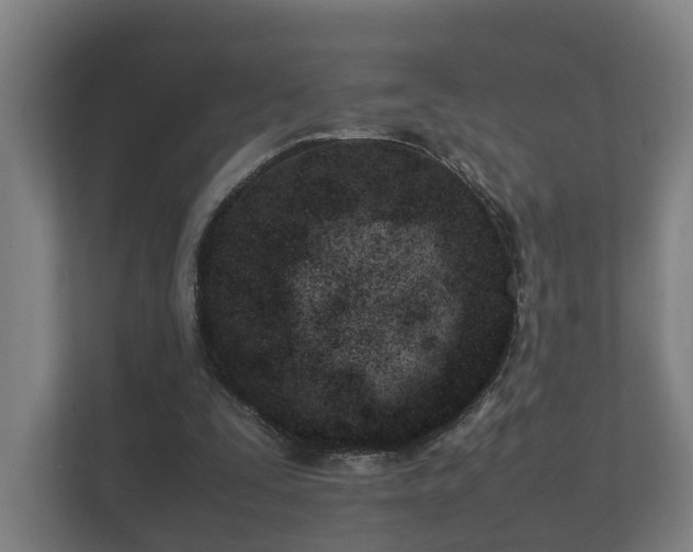 X0000112370295200908201508